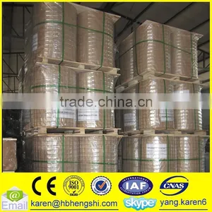 Iron Welded Wire Mesh thumbnail-1
