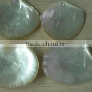 Polished Whitelip Mother of Pearl Shell Inlay thumbnail-2