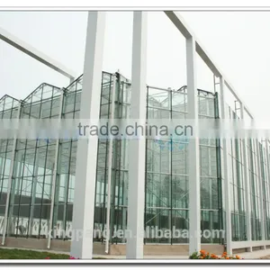 Flat Clear Tempered Transparent Glass Greenhouses for Agriculture (ISO9001:2000) thumbnail-4