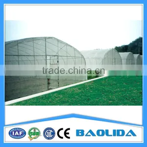 PE Mesh Covered Greenhouse thumbnail-5