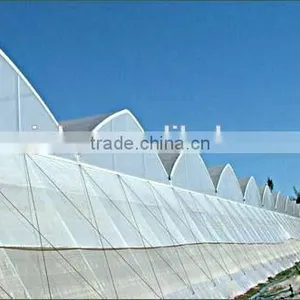 Thin Film in Greenhouse for Agricultural thumbnail-1