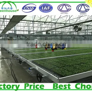 Polycarbonate Greenhouse Siding thumbnail-1