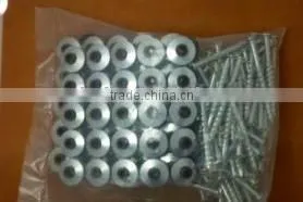 Galvanized Roof Screw Nail With Plastic Cap thumbnail-5