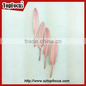 Best Selling High Quality Dyed Material Goose Feather Price Trim thumbnail-4