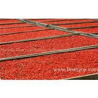 High Quality Goji Berry Powder, Bulk thumbnail-2