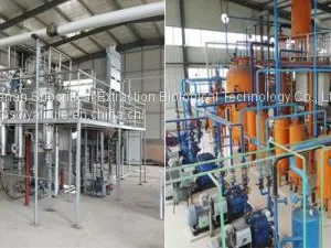 Wheat Germ Oil Subcritical Extraction Complete Equipment thumbnail-1