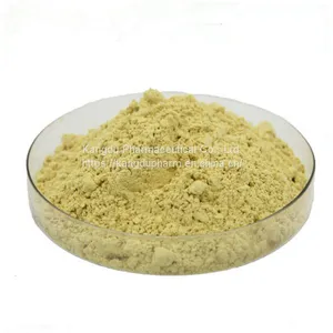 Factory Direct Sale Scutellaria Baicalensis Root Extract 80% Baicalin thumbnail-1