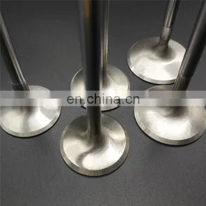 Premium Superclean Chrome Coated Auto Parts Engine Valve For Bmww E30 M3 S14 S38 16v 24v thumbnail-5