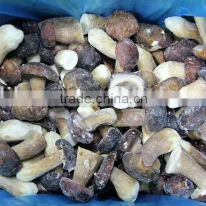 Frozen Boletus Edulis, Whole, Grade A, 2-4cm thumbnail-1