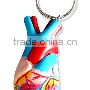 Mini Heart Model With Key Chain thumbnail-1