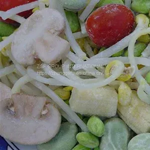 Frozen IQF Frozen Mixed Vegetable-mixed Healthy Mixed thumbnail-1