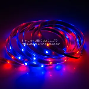 Chinese Manufacturer UCS1903 LC8806 LED Strip Light thumbnail-2