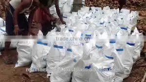 Fresh and Tasty Coconut Suppliers thumbnail-5