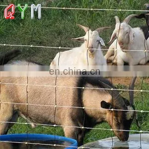Used Cattle Fencing Panels For Sale Cheap Farm Security Fencing thumbnail-5