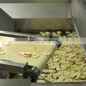 Fruit and Vegetable Medicine Freezer Dryer thumbnail-5