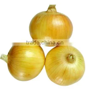 Fresh Red Onion thumbnail-1