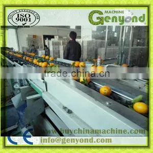 Automatically Feeding Double Line Fruits Grading Machine Made in China thumbnail-1