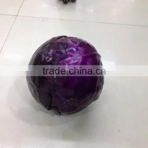 Fresh Cabbage thumbnail-1