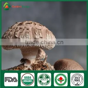 Fresh Dry Organic Edibal Mushroom Cultivation China Supplier Seller Shiitake Mushroom Growing Kit for Farm Garden thumbnail-1
