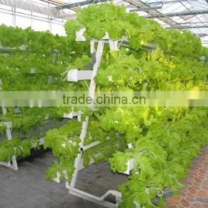A Type Hydroponic Frame , Hydroponic System,hydroponic Tower thumbnail-2
