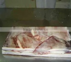 Giant Squid Wing thumbnail-1