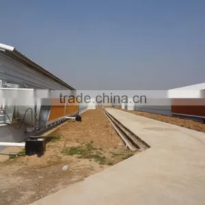 Automatic Environmental Controlled Chicken Farms Construction thumbnail-1