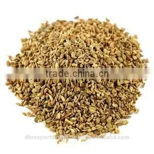 Ajwain Oil Pure thumbnail-1