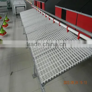 Full Automatic Poultry Equipment for Breeder Chicken thumbnail-1
