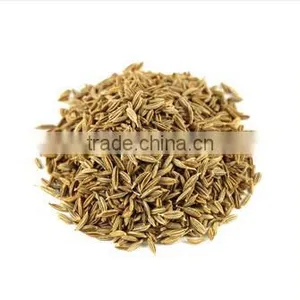 Cumin Seed thumbnail-1