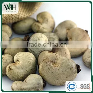 Grade A Southeast Asia Cashew Kernel in Shell thumbnail-3