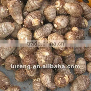 2015 Supplier of Good Taste and Natural Taro in China thumbnail-2