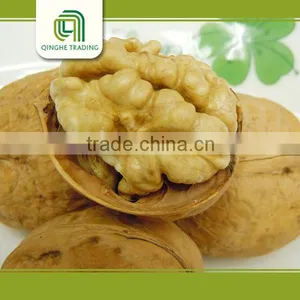 Walnut for Sale in Bulk, Nut for Snacks , Walnut Price thumbnail-1