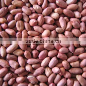 Peanut, Peanut Kernel thumbnail-1