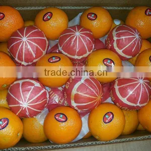 Pallets for Egyptian Oranges thumbnail-2
