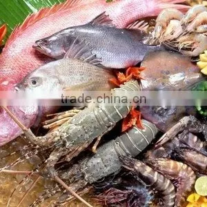 SEA FOODS FLAVOR/SEASONINGS thumbnail-1