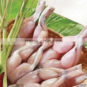 Frozen Frog Legs (Rana Tigrina) thumbnail-1