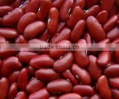High Quality Red Kidney Bean From Vietnam With Best Price for Sale thumbnail-1