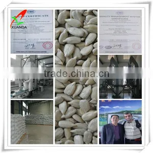 Sunflower Seed Kernels Bakery American Goods thumbnail-1