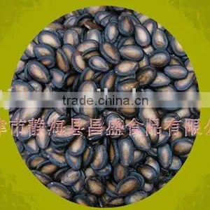 Black Watermelon Seed:new Crop of 2009 thumbnail-1