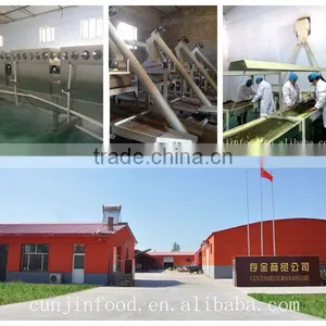Hangjinhouqi Deposit Gold Trade Co., Ltd. company overview - view 1 thumbnail