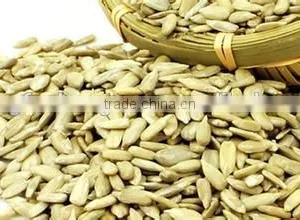 Organic Bulk Sunflower Kernels Big Size Facotry Sell to Buyers thumbnail-1