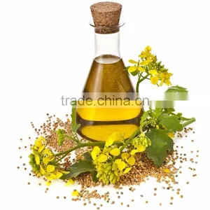 TERPENELESS DILL SEED OIL thumbnail-2