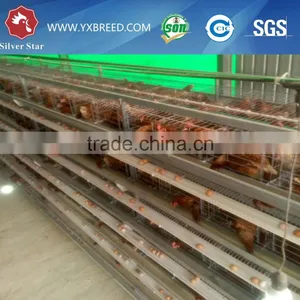 Used Poultry Equipment for Sale thumbnail-5