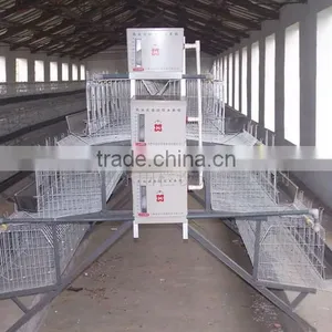 Layer Cages/Chicken Layer Cages/ Laying Chicken Cages thumbnail-1