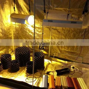 Hydroponic Grow Tent Kits/Complete Grow Tent Kit/Hydroponics Grow Kits thumbnail-1