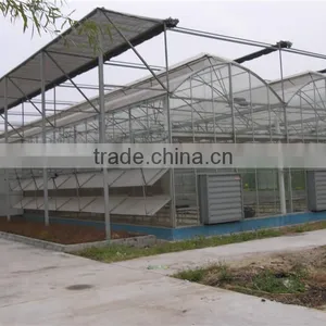 Light Steel Structure Greenhouse for Modern Agriculture thumbnail-4