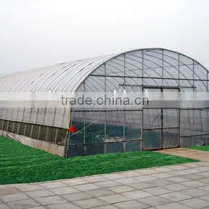 Arch Simple Greenhouses for Sale thumbnail-1