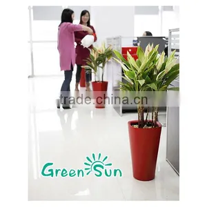 Rectangular Plastic Plant With Water Indicator 100% Similar as Lechuza thumbnail-2