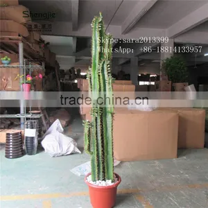 CHY030930 Landscaping Cactus Plant With Flowers/indoor Plastic Succulent Plant thumbnail-2