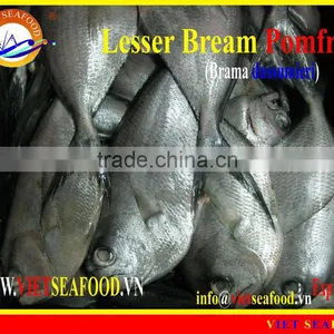 W/R FROZEN LESSER BREAM POMFRET thumbnail-1